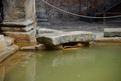 DSC_2662 (Large).JPG